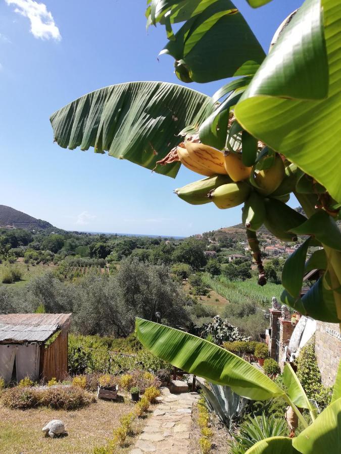 Bed and Breakfast Il Brillocco Castellabate Exterior foto