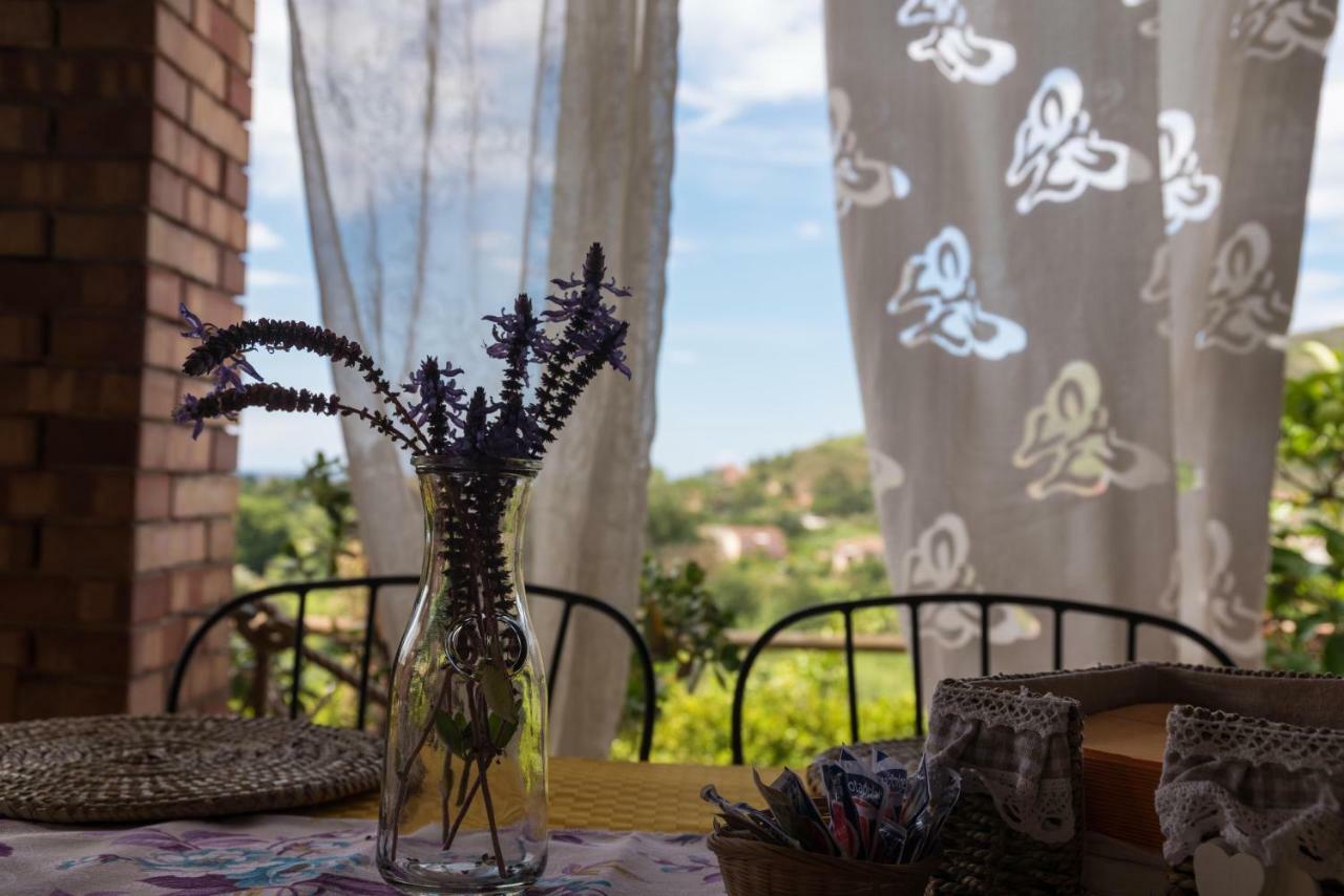 Bed and Breakfast Il Brillocco Castellabate Exterior foto